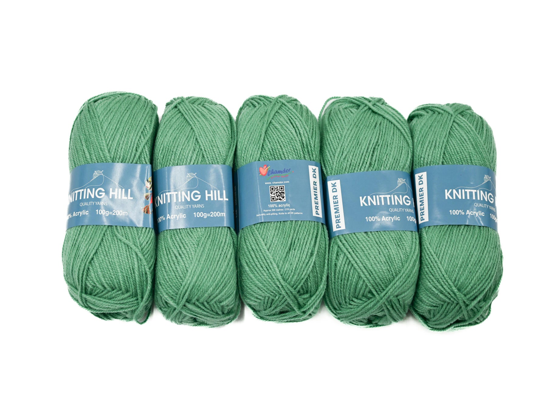 5pc 100g Knitting Hill Premier Double Knit Sage