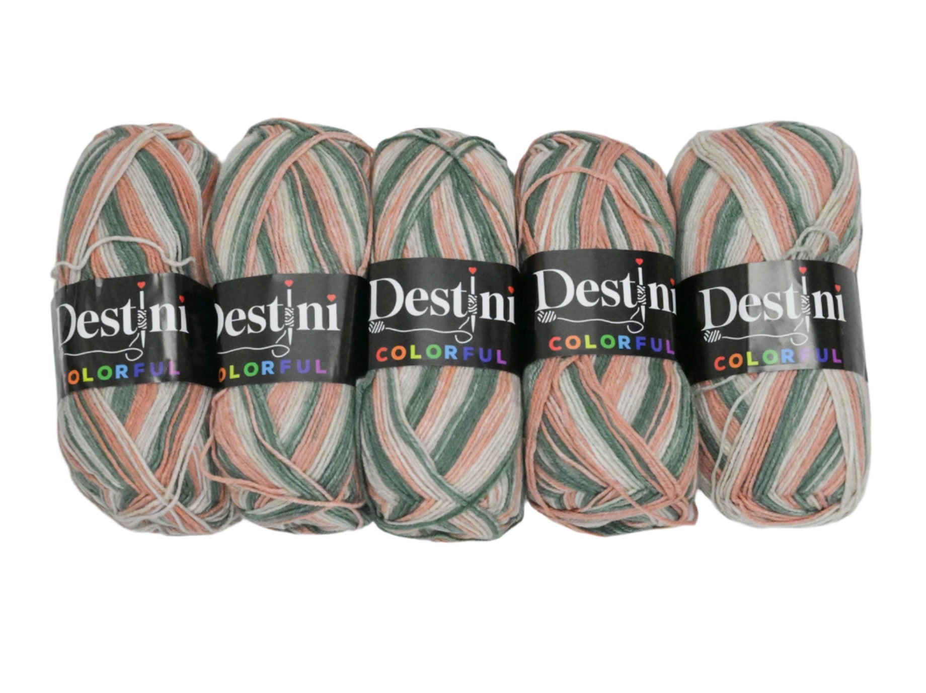 100g 5pc Destini Double Knit Colourful