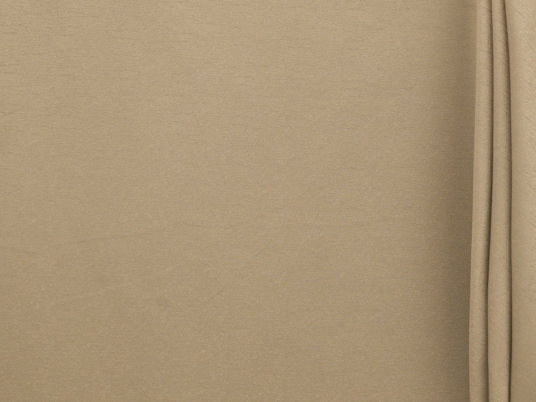 280cm Silver Birch 50% Blockout CU1440-6
