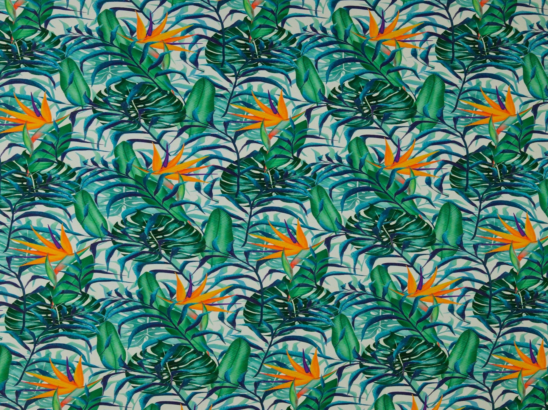 280cm Woven Blockout With Digital Print CU1544-2