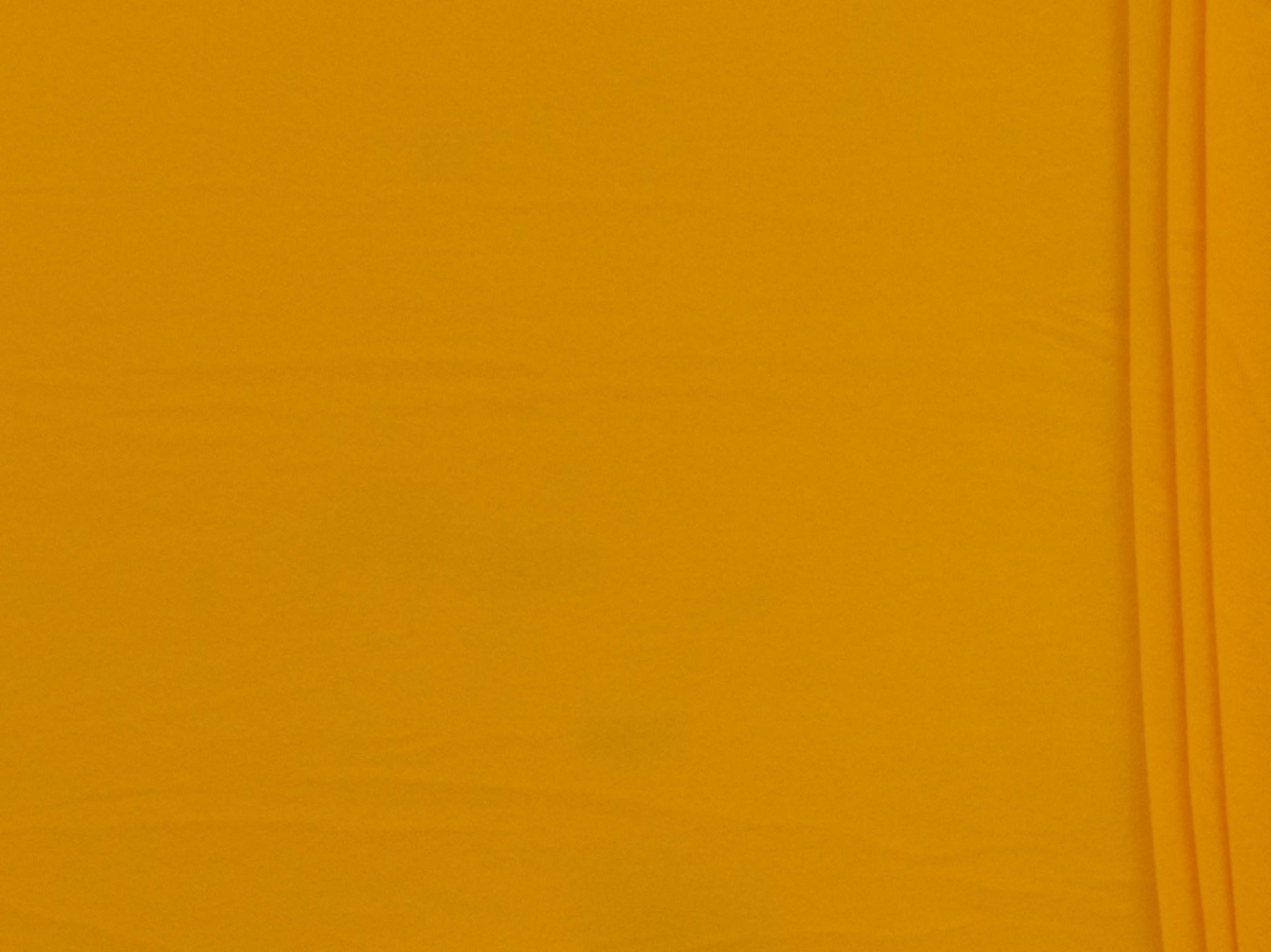 150cm Plain Polar Fleece DR003-165