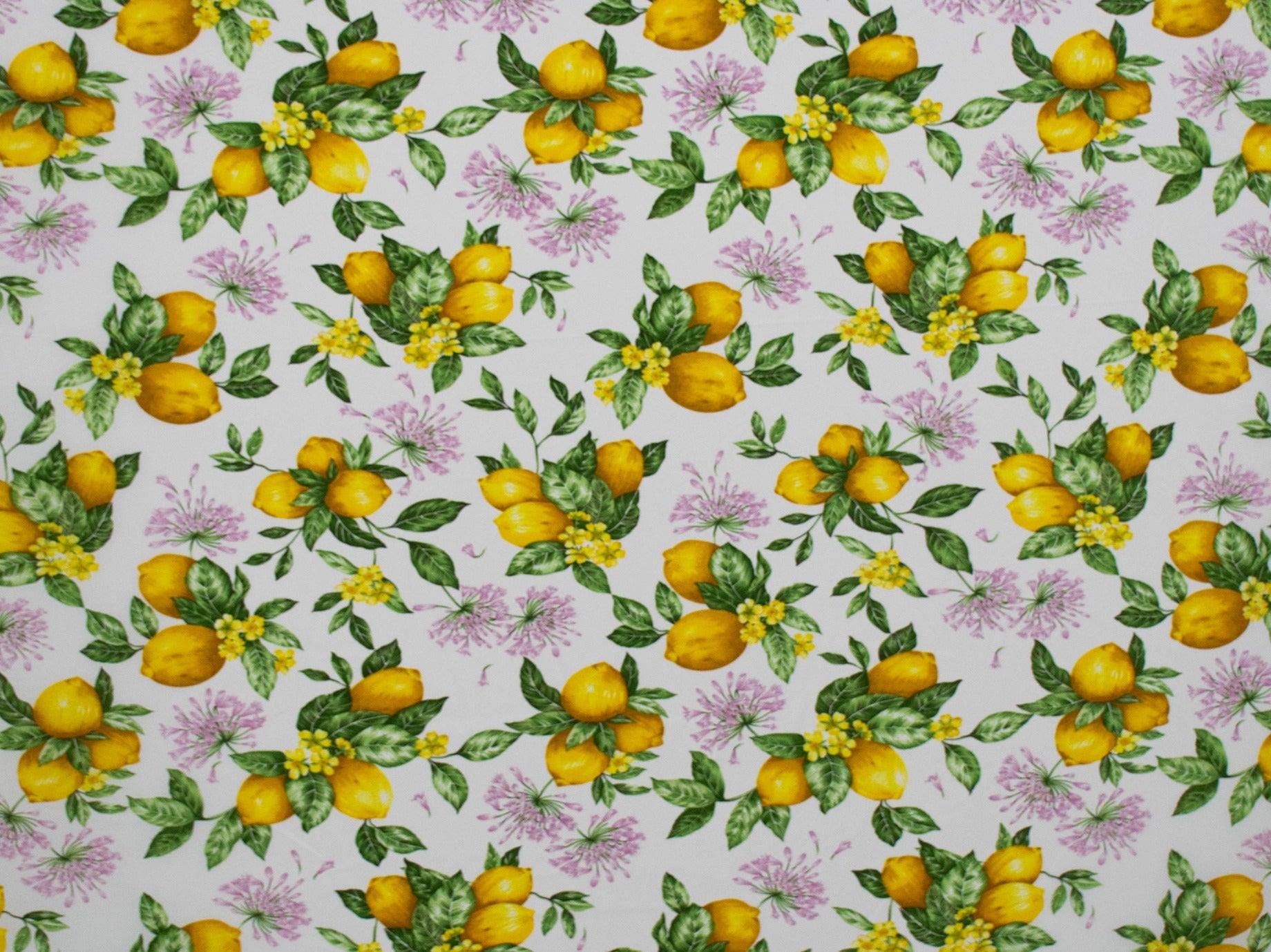 150cm Printed Mini Matt DR1652-94