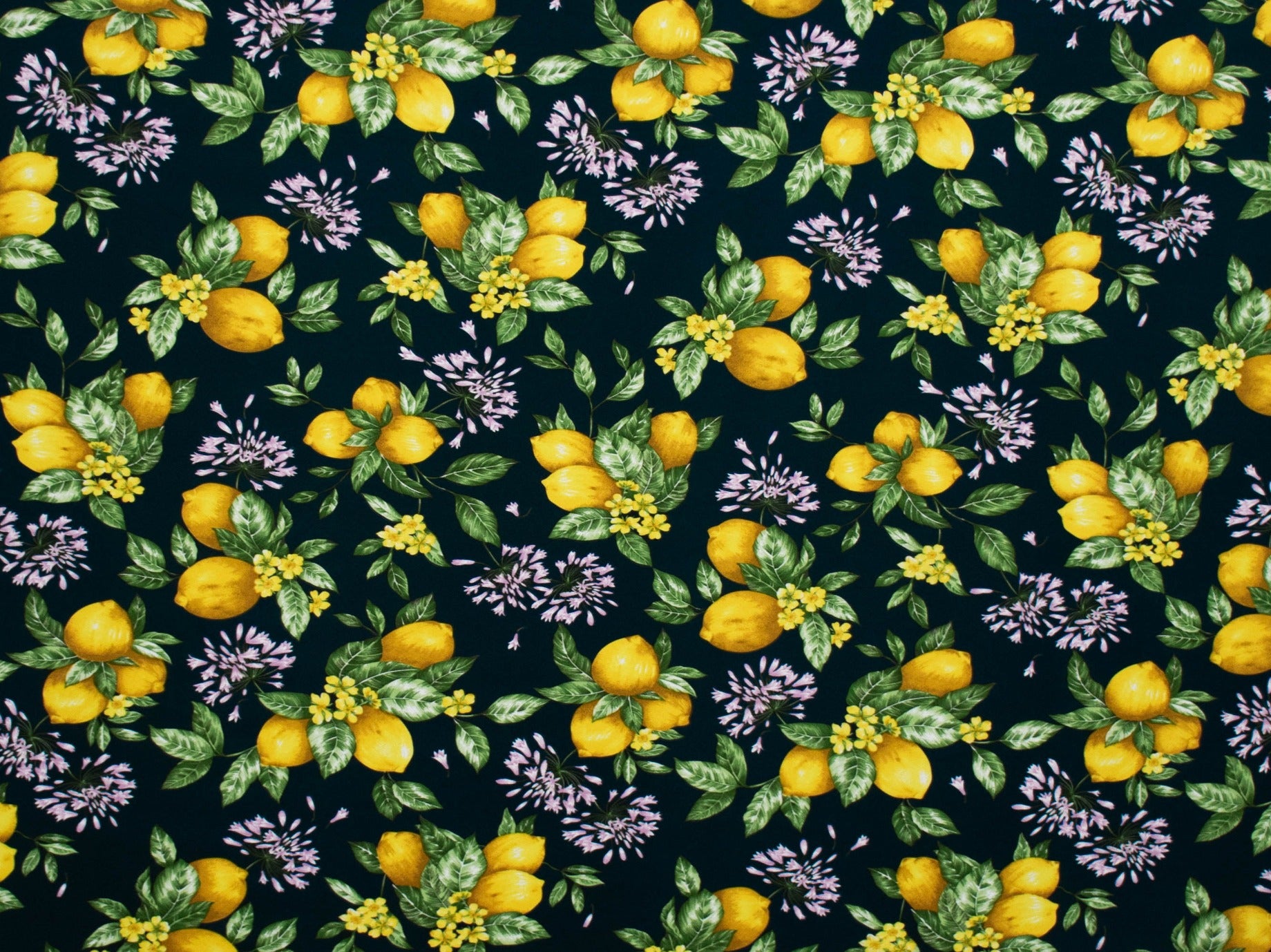 150cm Printed Mini Matt DR1652-95