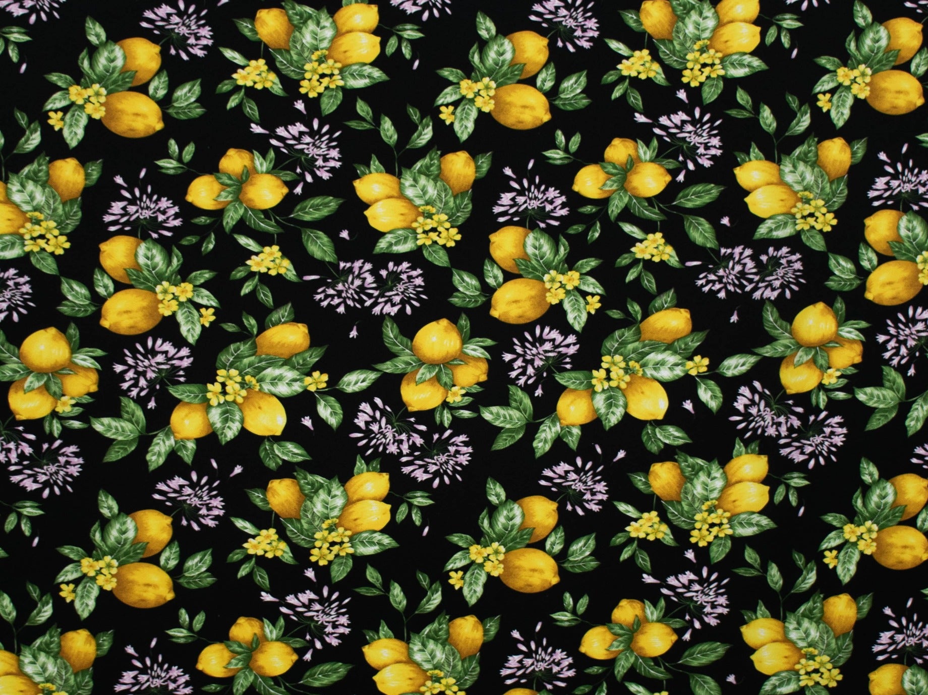 150cm Printed Mini Matt DR1652-96