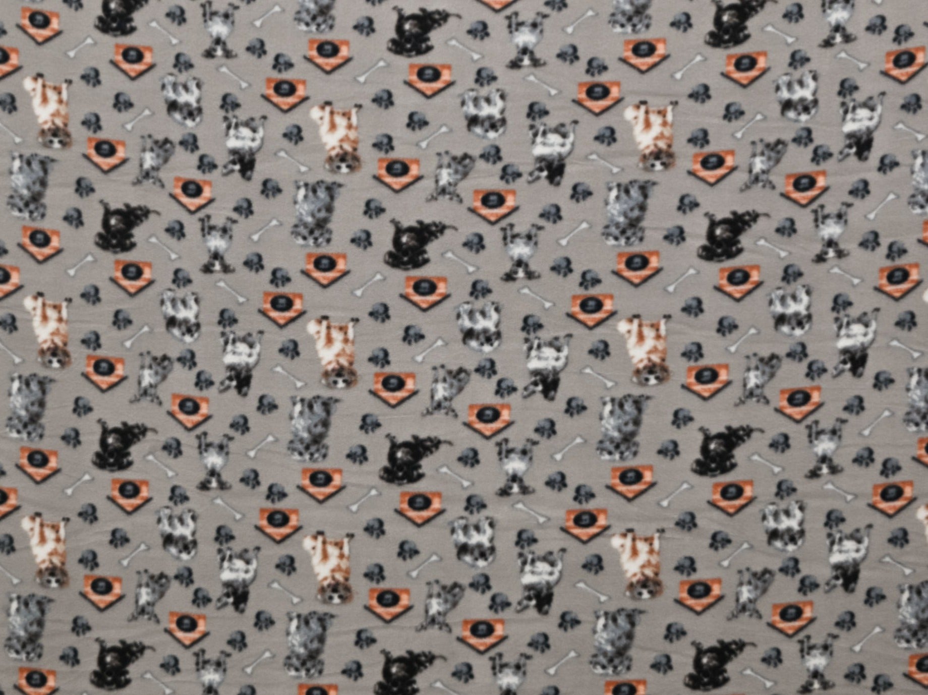 150cm Printed Polar Fleece DR2276-2