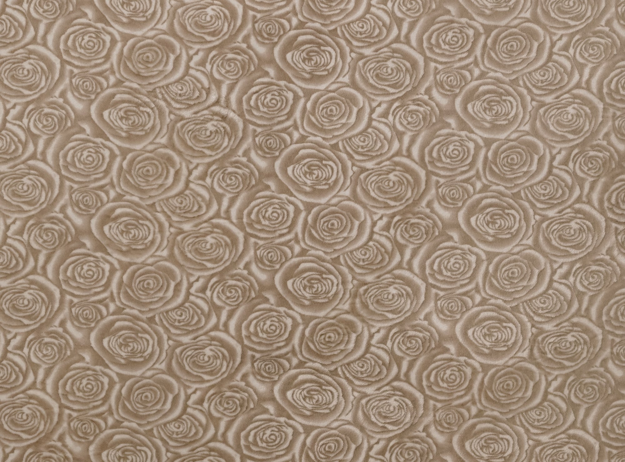 150cm Embossed Mongolian Fleece DR2608-22