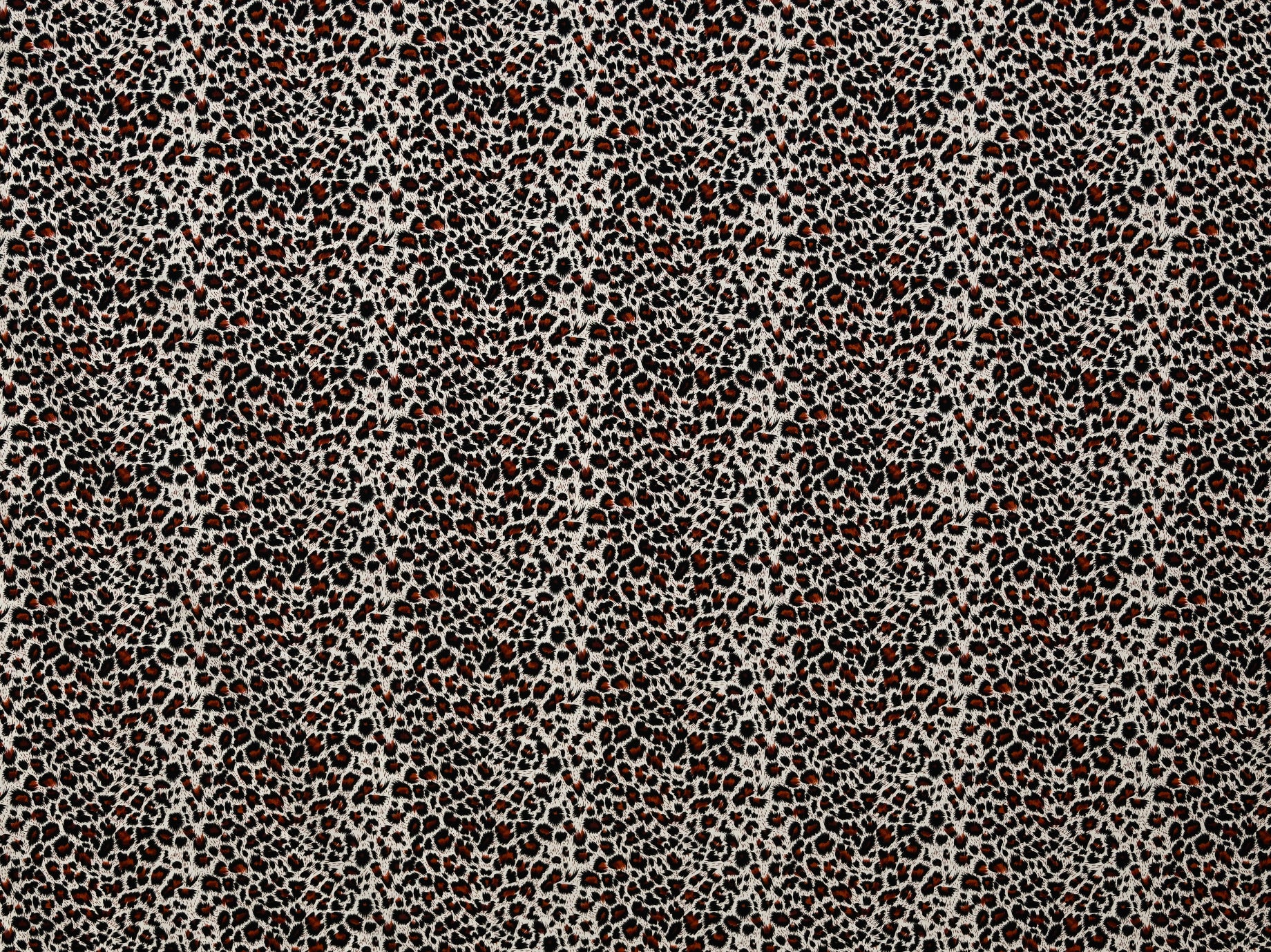 150cm 100%Cotton Printed Poplin DR2669-1