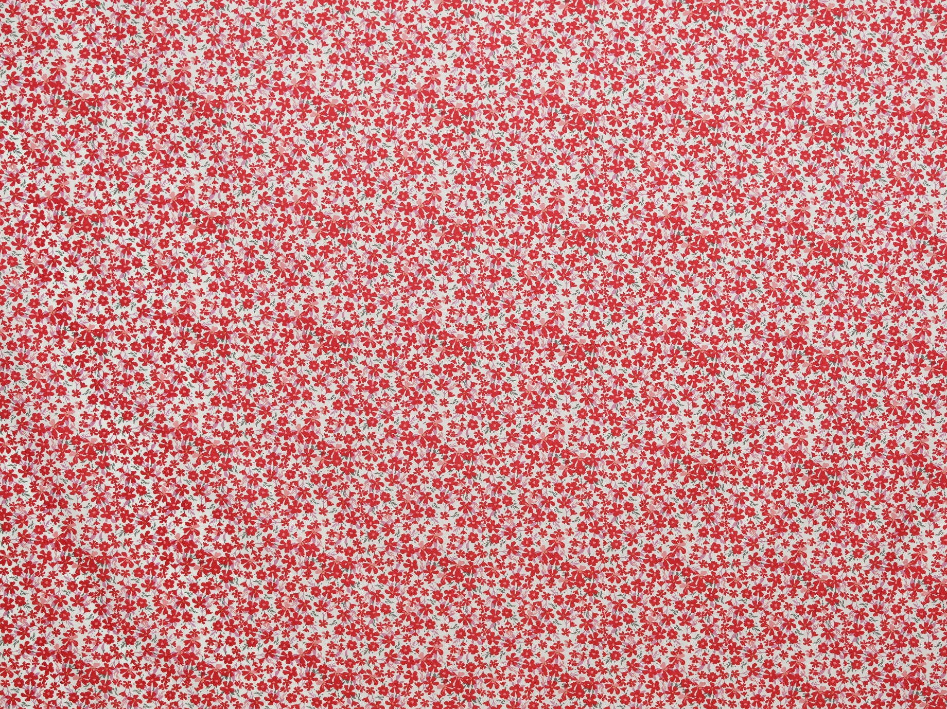 150cm 100%Cotton Printed Poplin DR2669-14