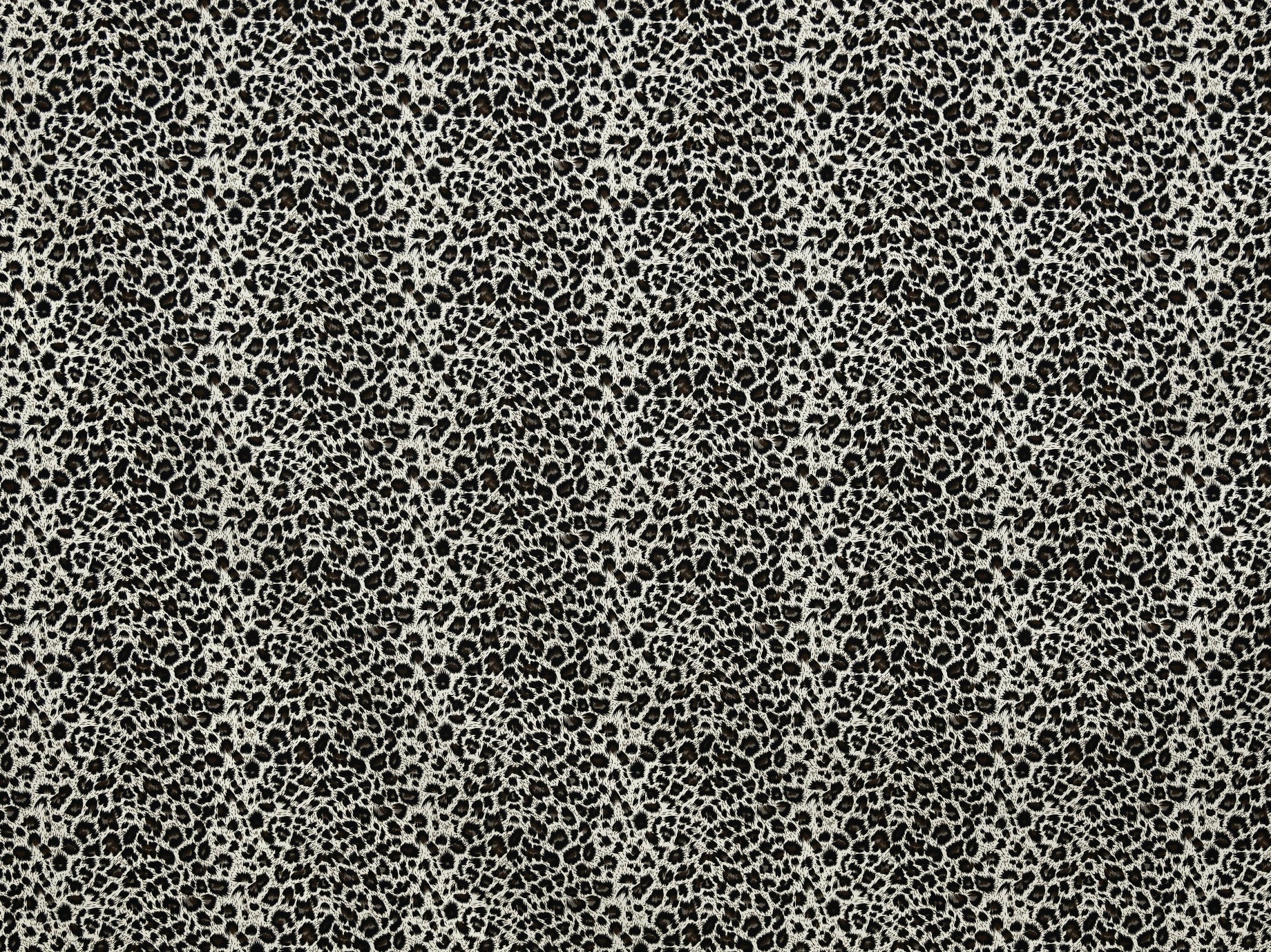 150cm 100%Cotton Printed Poplin DR2669-2