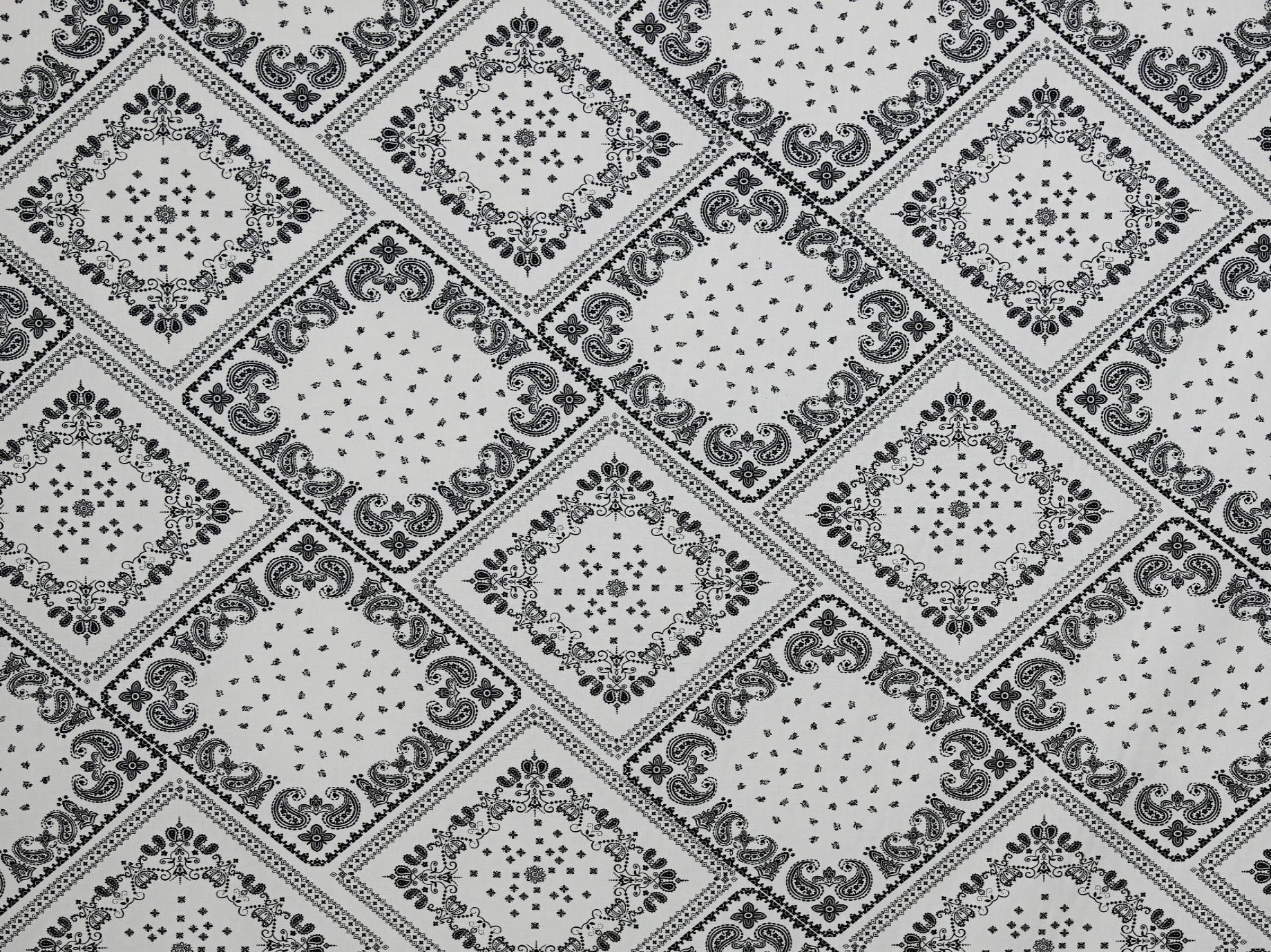 150cm 100%Cotton Printed Poplin DR2669-3