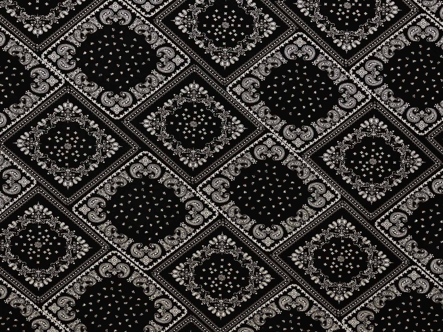 150cm 100%Cotton Printed Poplin DR2669-4