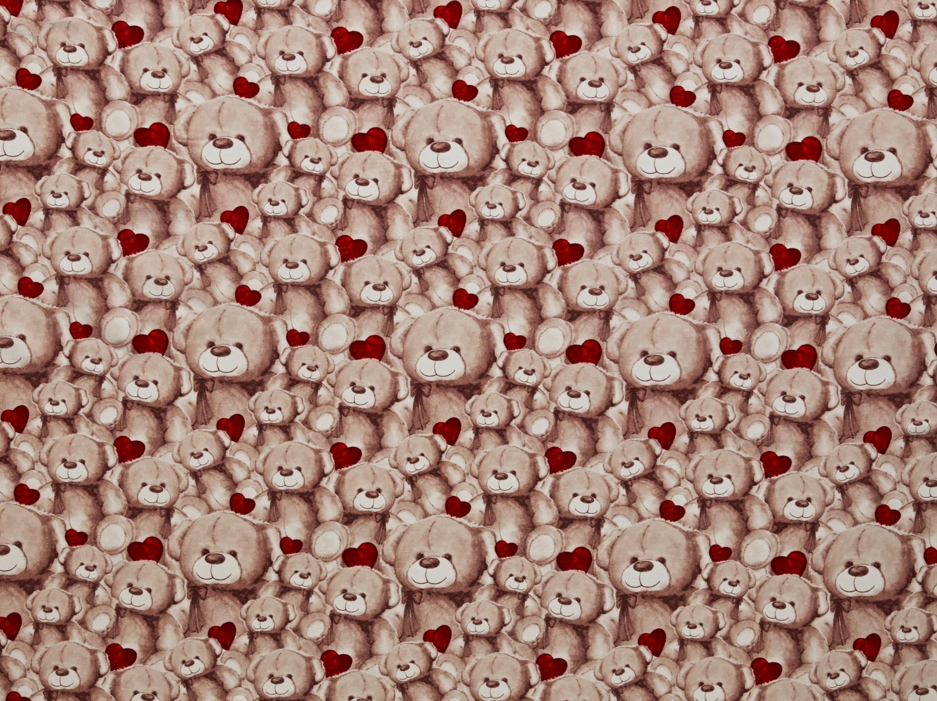 240cm 100% Cotton Printed Flannel SH299-23