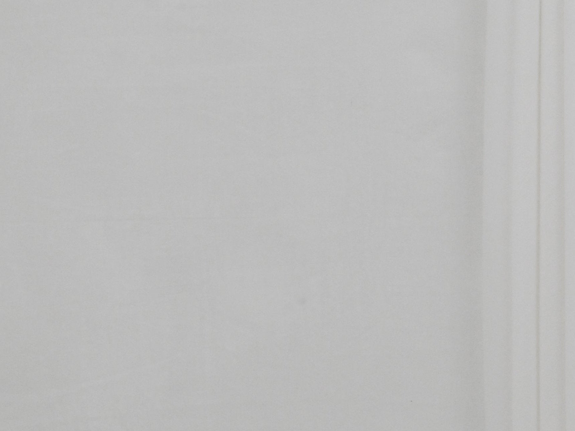 255cm 233T Down Proof Fabric SH302-1