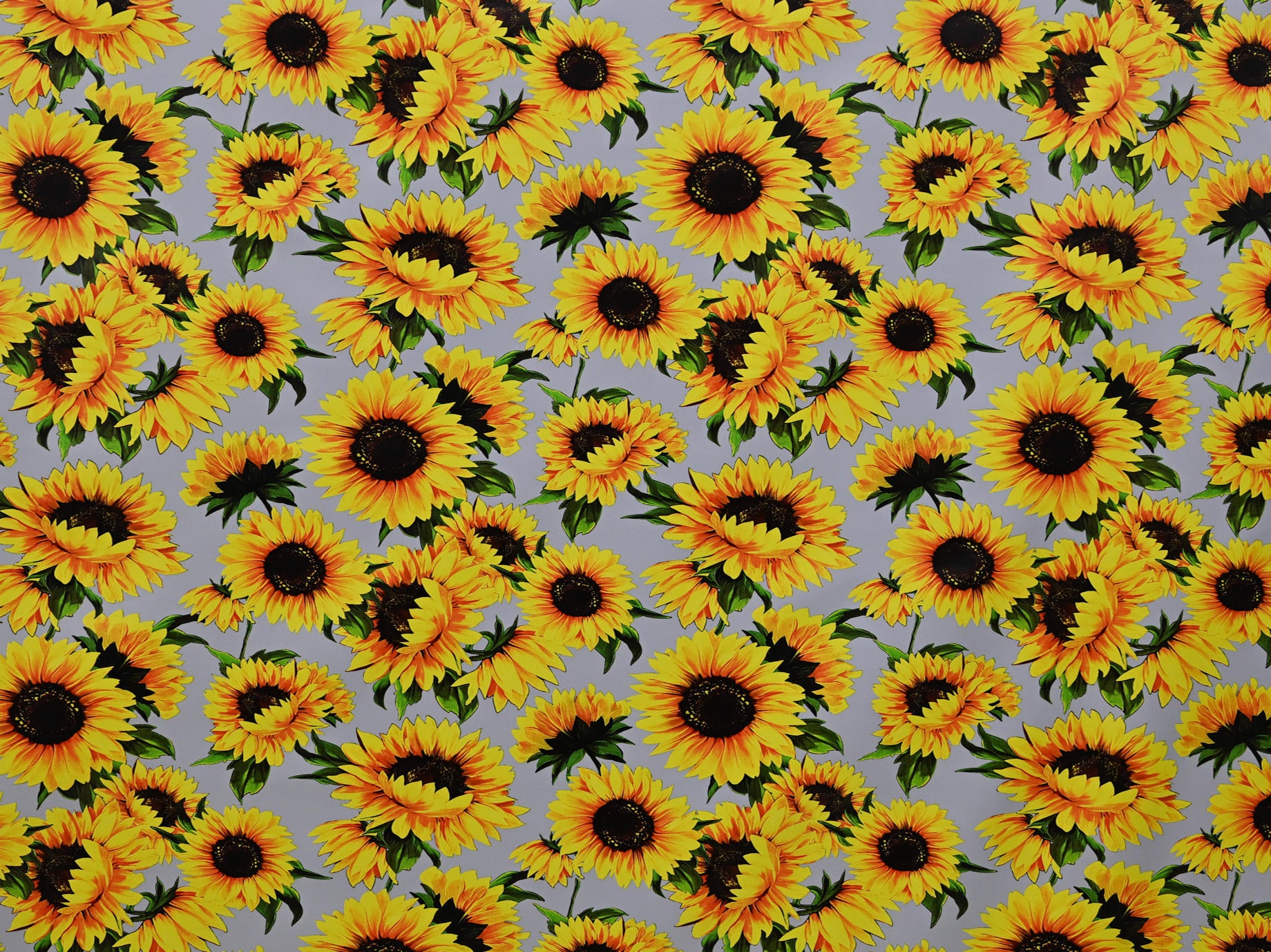 140cm Printed Pu Vinyl Upholstery UP619-79