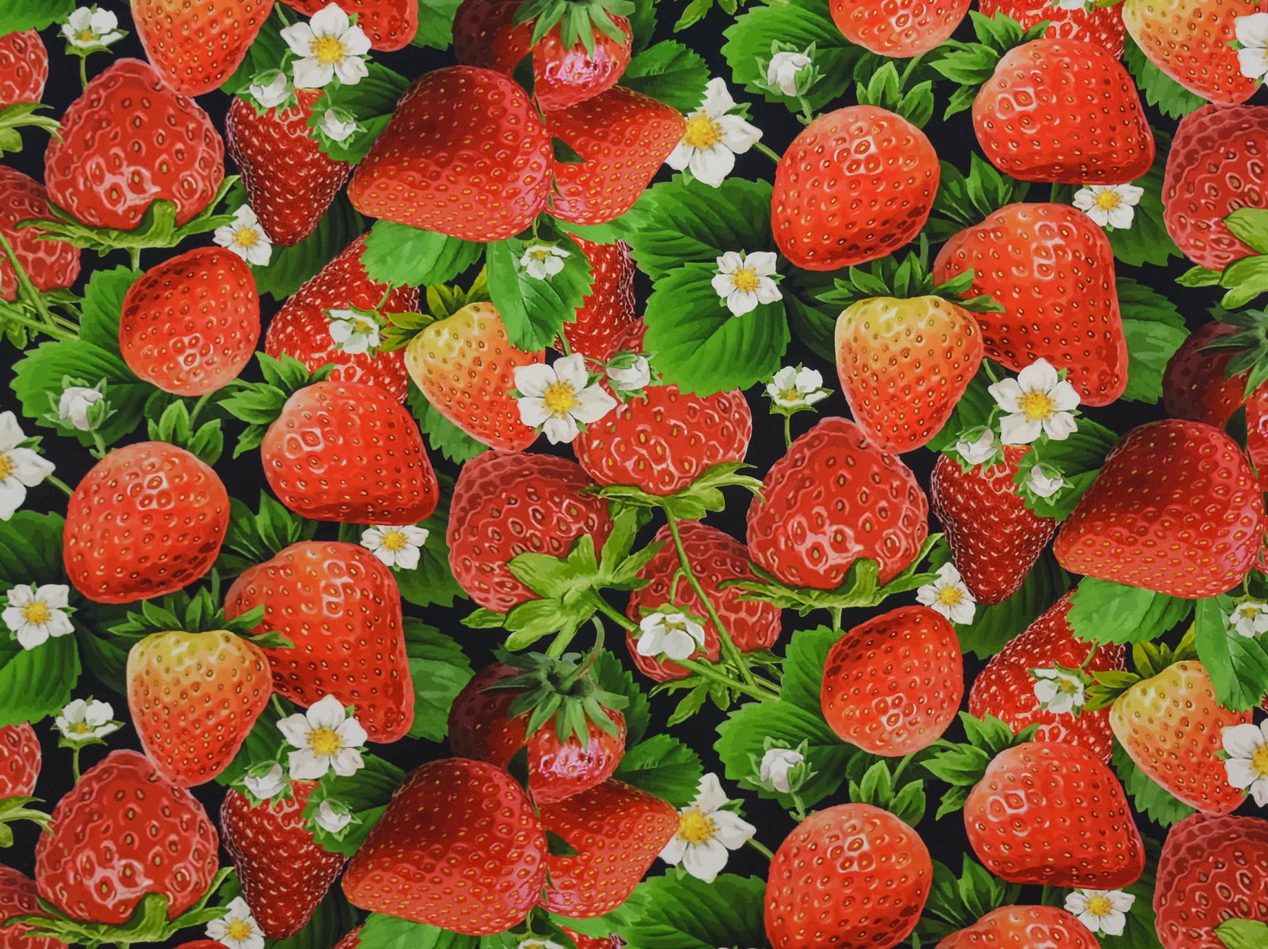 150cm Strawberry Curtaining CU1293-3