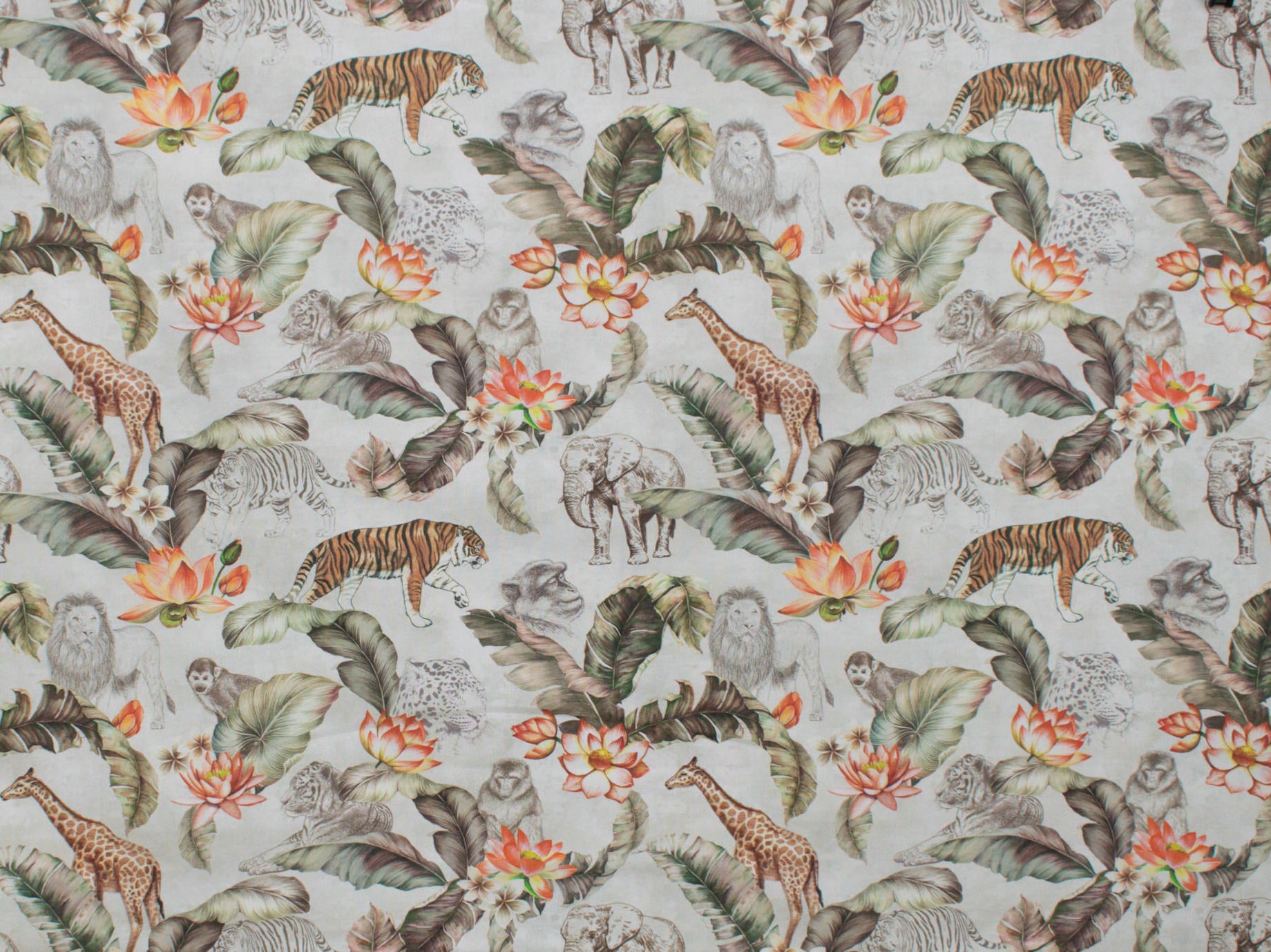 280cm Summer Solana Curtaining Collection CU1316-55