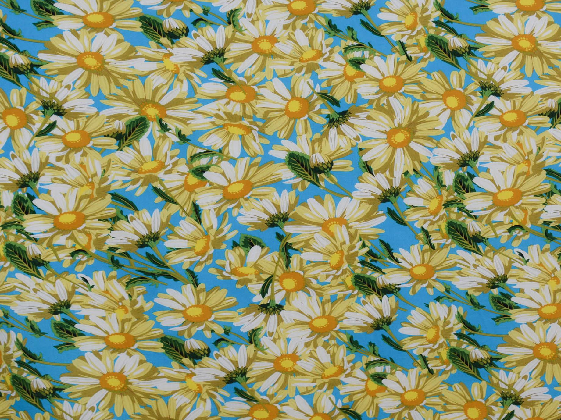 145cm 100% Cotton Printed Poplin DR1481-61