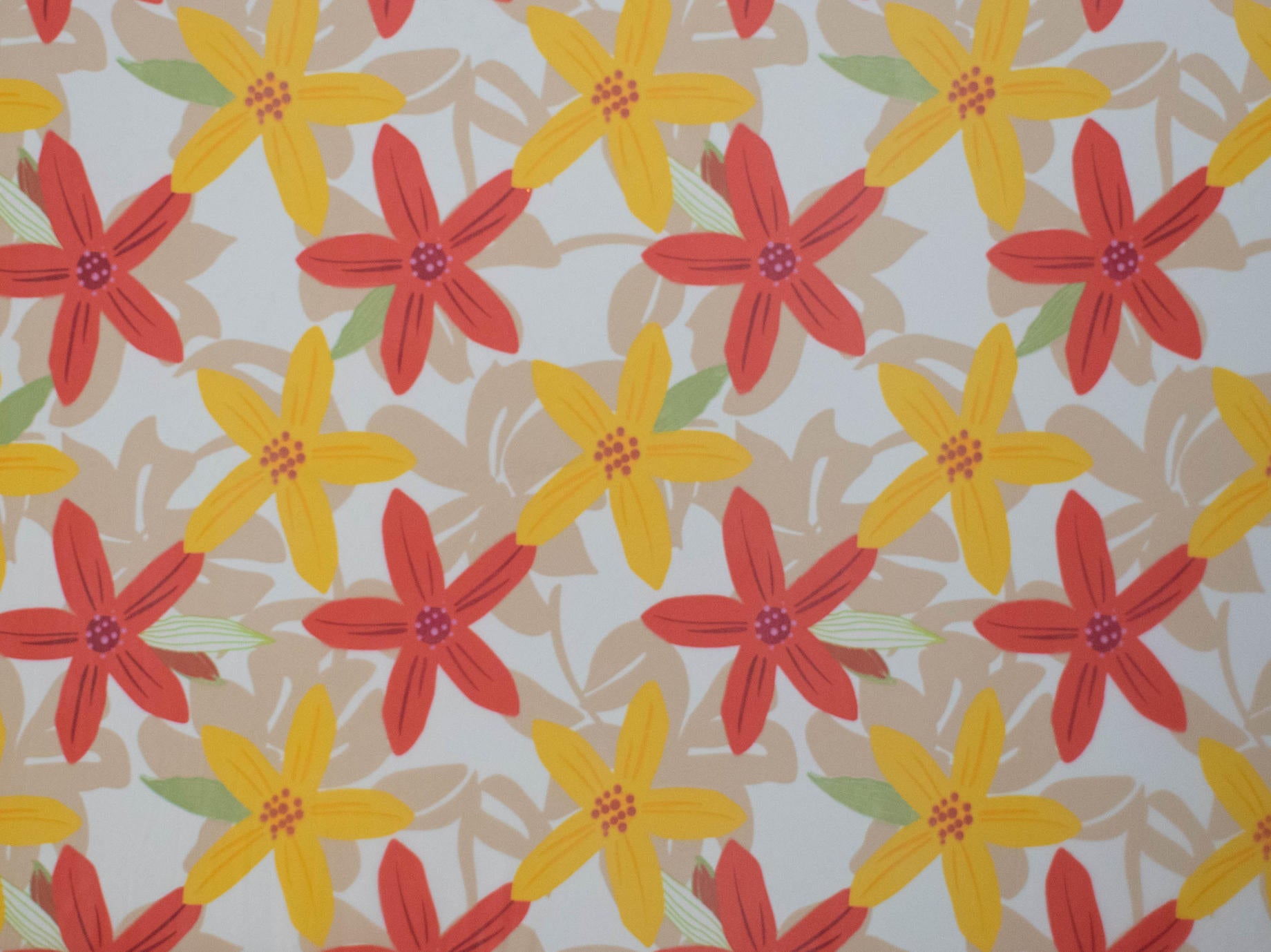150cm Fancy Printed Mesh DR1751-1