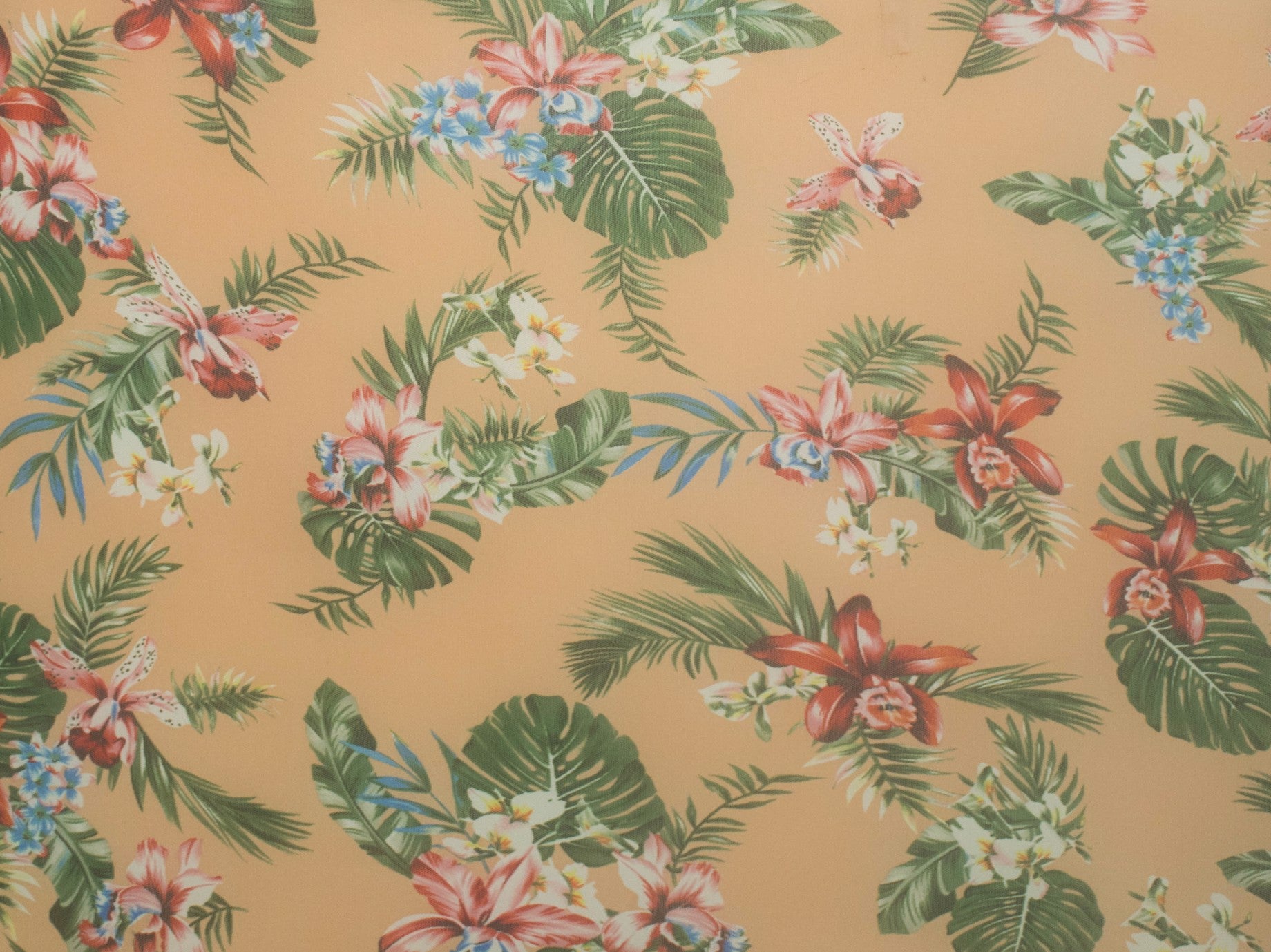 150cm Printed Mesh DR397-1