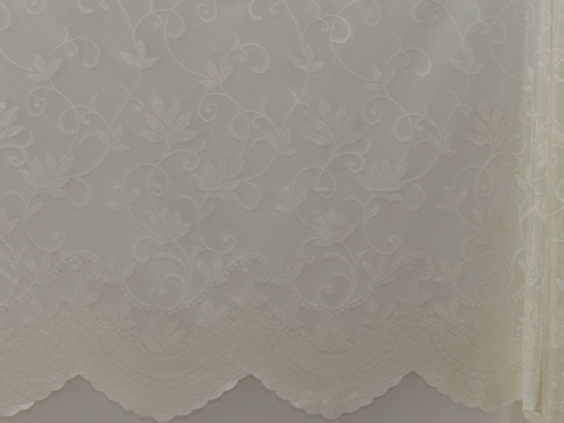 Jacquard Lace Curtain Cream LC131