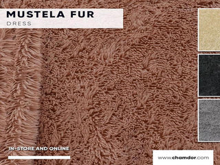 Mustela Fur