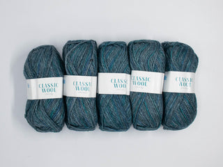 100g 5PC Classic Wool Chunky Print Brook
