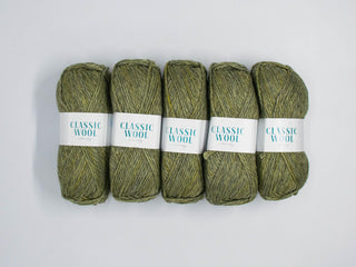 100g 5PC Classic Wool Chunky Print Pickle