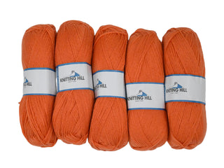 5pc 100G Knitting Hill Double Knit Spice