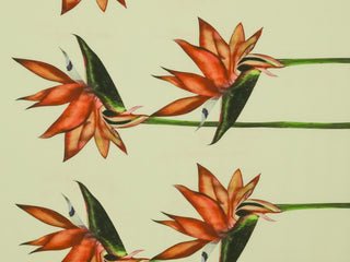 147cm Trendy Printed Super Soft DR2004-86