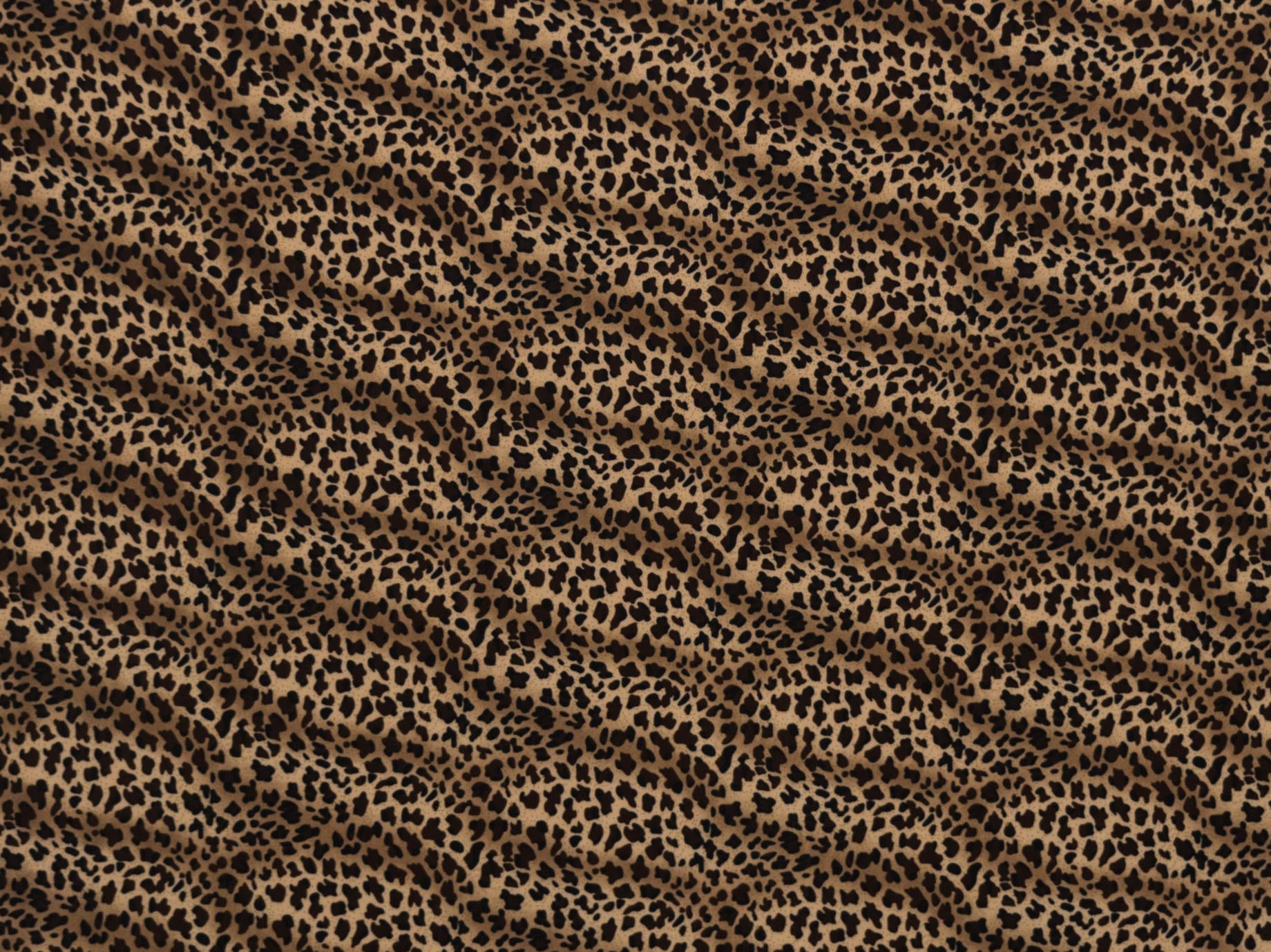 150cm Animal Print Fdy DR2125-2 | Chamdor Faktry Sales