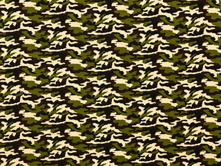 150cm Camouflage Cotton Twill DR2379-3