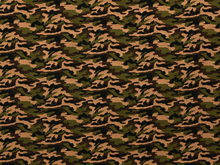 150cm Camouflage Cotton Twill DR2379-4