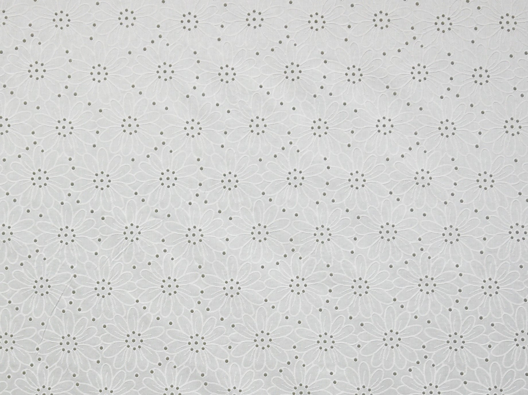 140cm 100% Cotton Puff Printed Voile DR2734-2