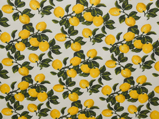 150cm Printed Water Repellent Canvas OD226-10