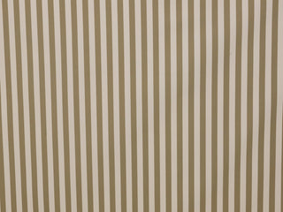150cm Solution Dyed Stripe Water Repellent Canvas OD256-2