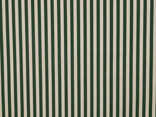 150cm Solution Dyed Stripe Water Repellent Canvas OD256-5