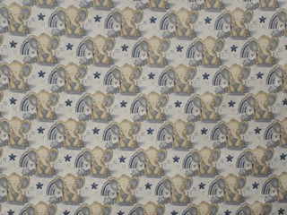 240cm 100% Cotton Printed Flannel SH299-3
