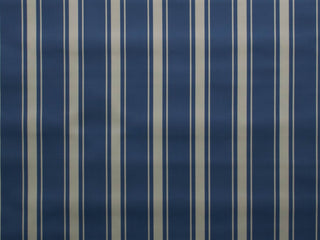 150cm Stripe Water Repellent Canvas OD002-99