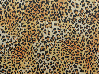 142cm The Serengeti Collection UP534-4